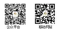 移动端