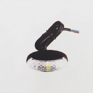 小边灯（食人鱼）